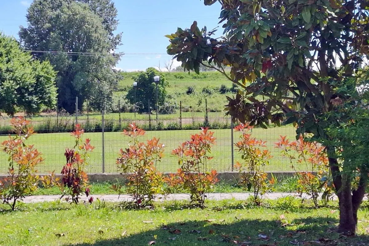 Apartmán Affitto Breve Rovigo La Casa Sul Grande Fiume Po Di Nadine Guarda Veneta Itálie